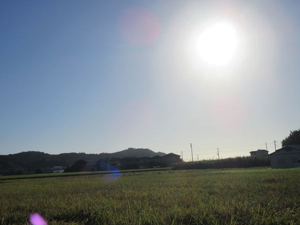 f:id:maronmame:20210821062141j:plain