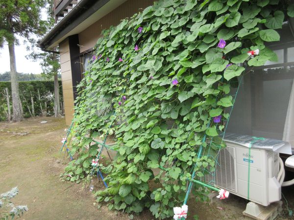 f:id:maronmame:20210907135319j:plain