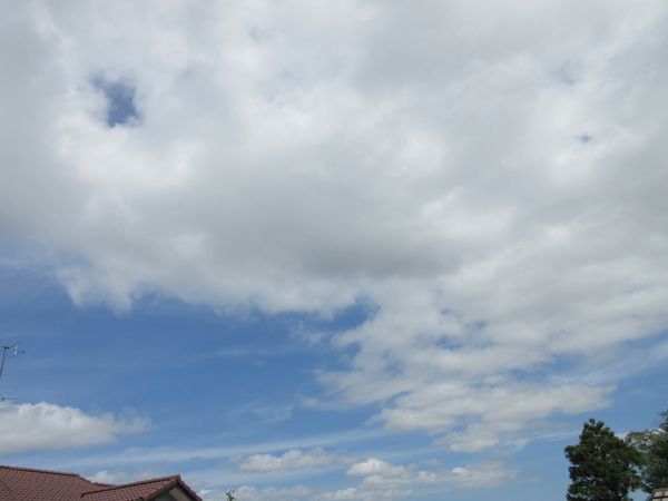 f:id:maronmame:20210907135418j:plain