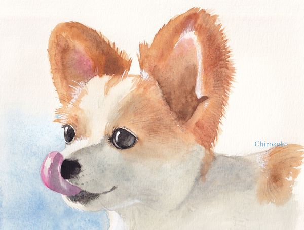 f:id:maronmame:20211005152435j:plain