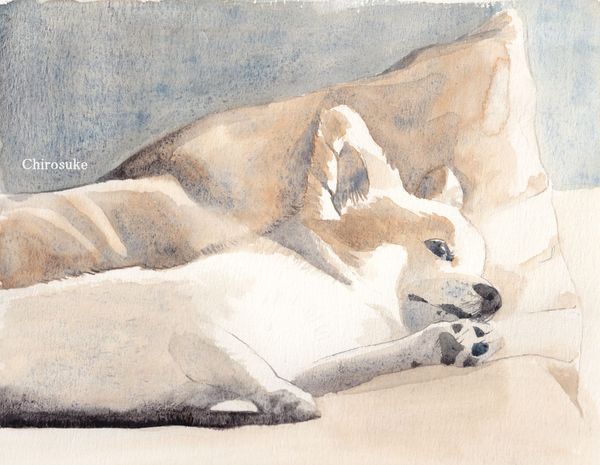 f:id:maronmame:20211005152553j:plain