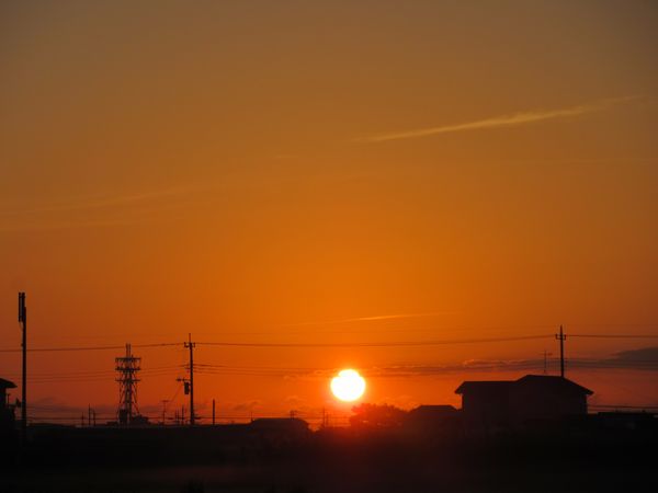 f:id:maronmame:20211005153113j:plain