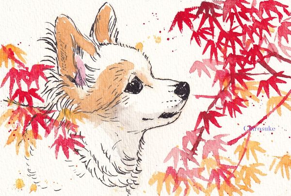 f:id:maronmame:20211101073813j:plain