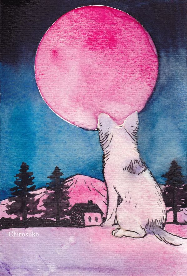 f:id:maronmame:20211101074049j:plain