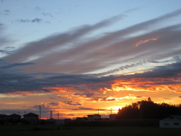 f:id:maronmame:20211101074212j:plain