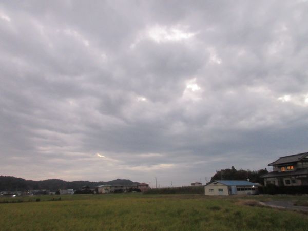 f:id:maronmame:20211101074245j:plain