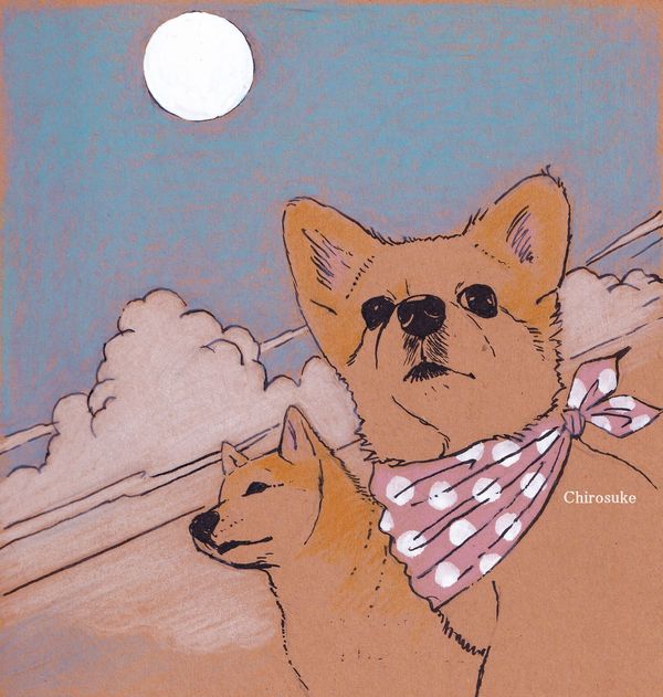 f:id:maronmame:20211103094148j:plain