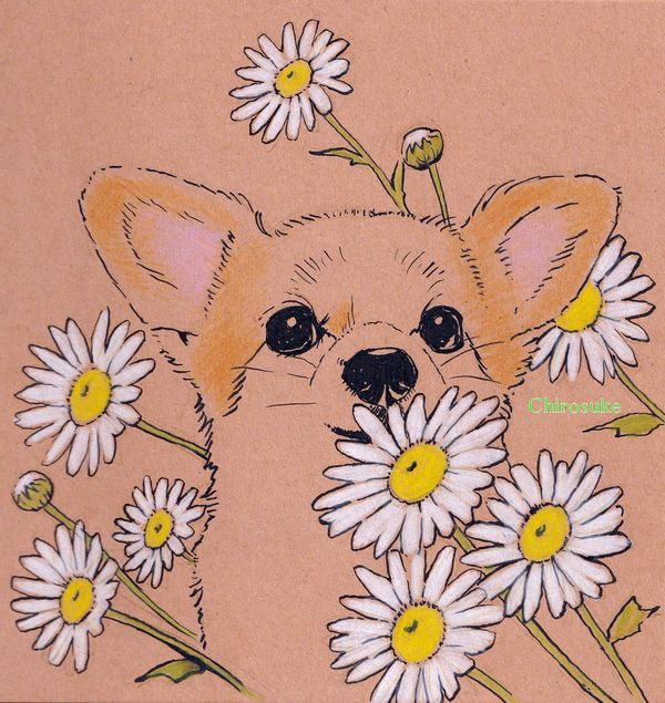 f:id:maronmame:20211103094349j:plain