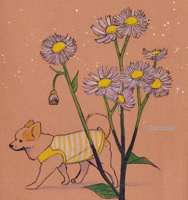 f:id:maronmame:20211103094445j:plain