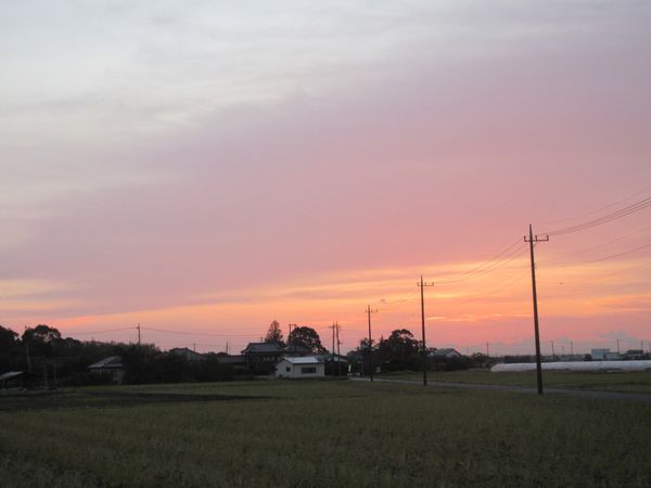 f:id:maronmame:20211103094852j:plain