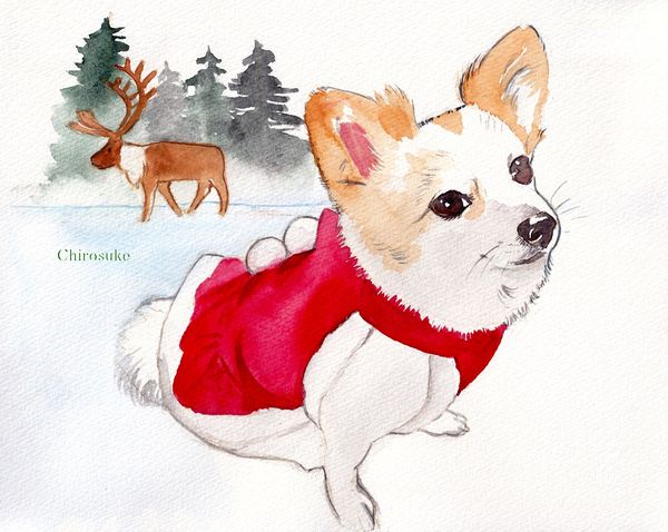 f:id:maronmame:20211115183045j:plain