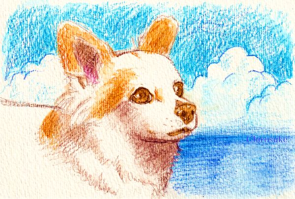 f:id:maronmame:20211115183128j:plain