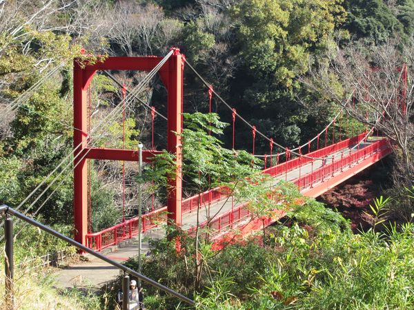 f:id:maronmame:20211115183251j:plain