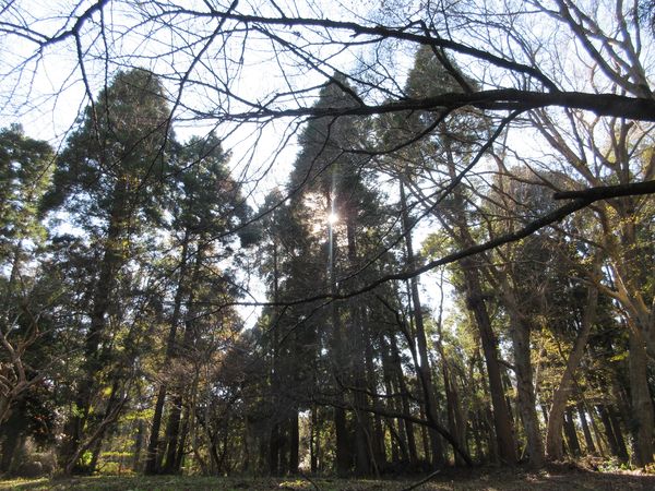 f:id:maronmame:20211115183332j:plain