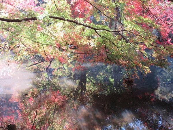 f:id:maronmame:20211115183520j:plain