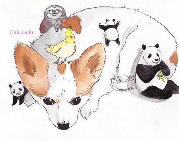 f:id:maronmame:20211121160236j:plain