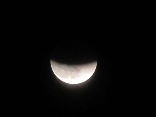 f:id:maronmame:20211121160916j:plain