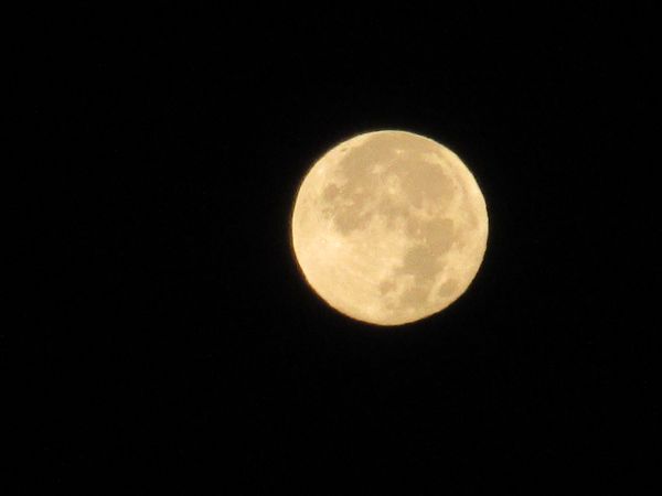 f:id:maronmame:20211121161009j:plain