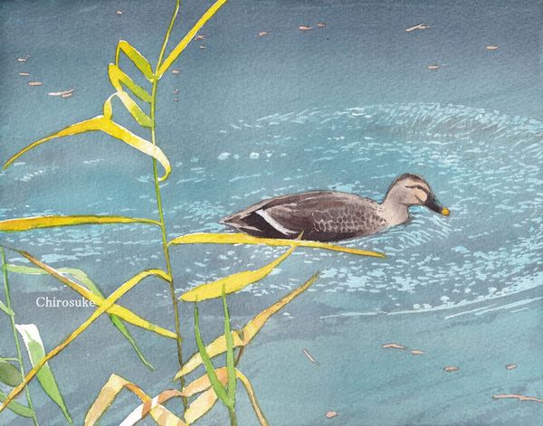 f:id:maronmame:20211125185037j:plain