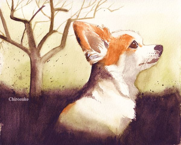 f:id:maronmame:20211125185143j:plain