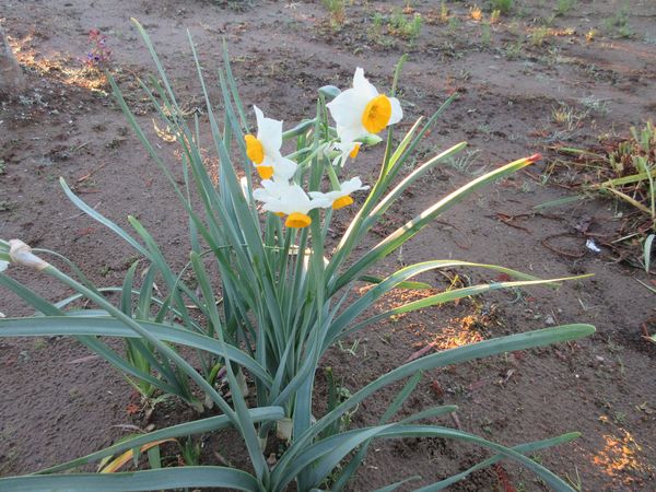 f:id:maronmame:20211125185625j:plain