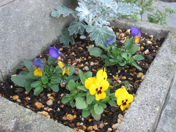 f:id:maronmame:20211125185644j:plain