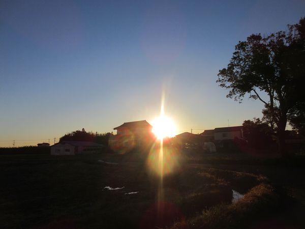 f:id:maronmame:20211125185720j:plain