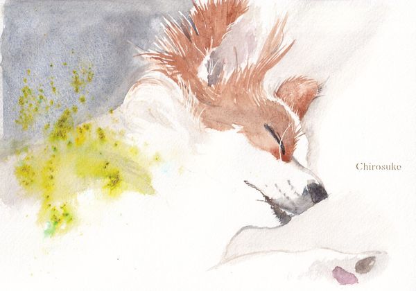 f:id:maronmame:20211221174240j:plain