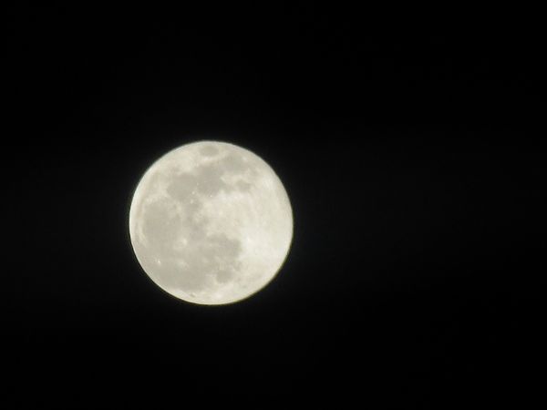 f:id:maronmame:20211221174653j:plain