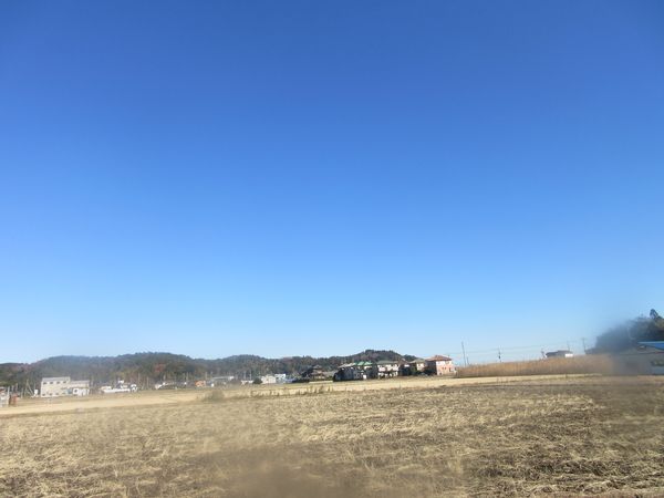 f:id:maronmame:20211221174828j:plain