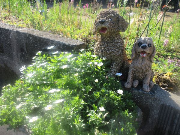 f:id:maronmame:20211221174844j:plain