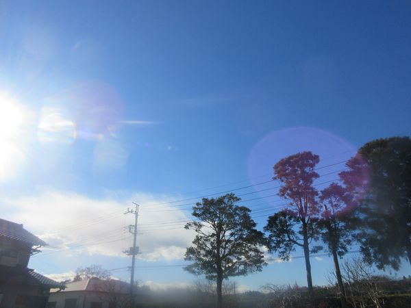 f:id:maronmame:20211228140723j:plain