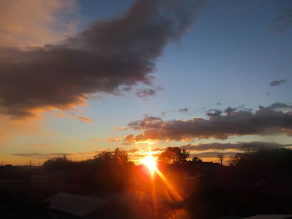 f:id:maronmame:20220110153638j:plain