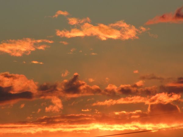 f:id:maronmame:20220110153656j:plain