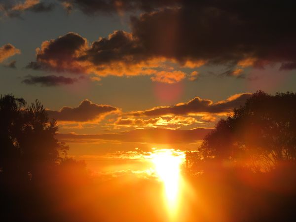 f:id:maronmame:20220110153711j:plain