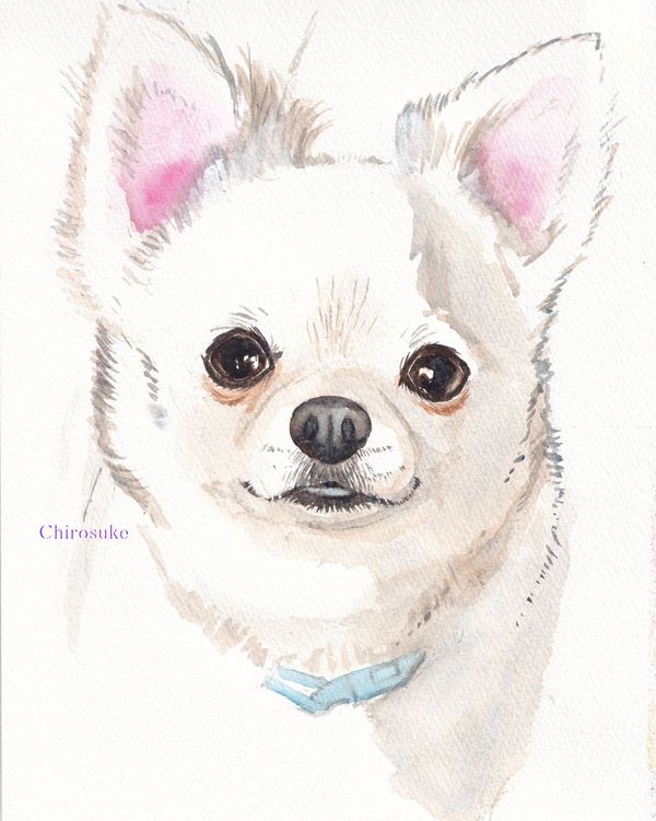 f:id:maronmame:20220114134431j:plain