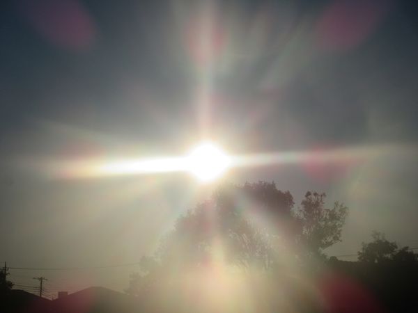 f:id:maronmame:20220114135026j:plain