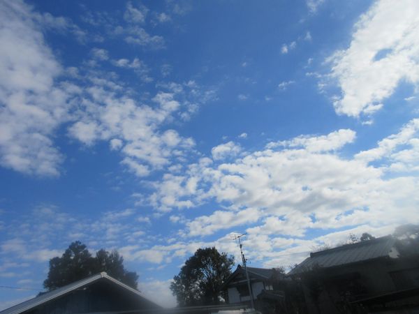 f:id:maronmame:20220126082221j:plain