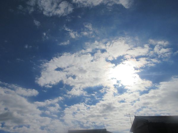 f:id:maronmame:20220126082236j:plain
