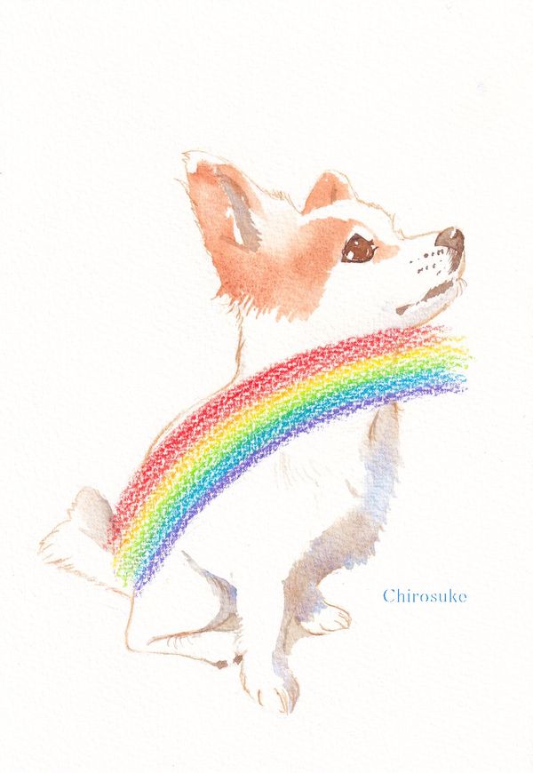 f:id:maronmame:20220129132008j:plain