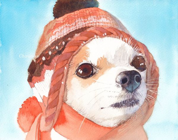 f:id:maronmame:20220129132044j:plain