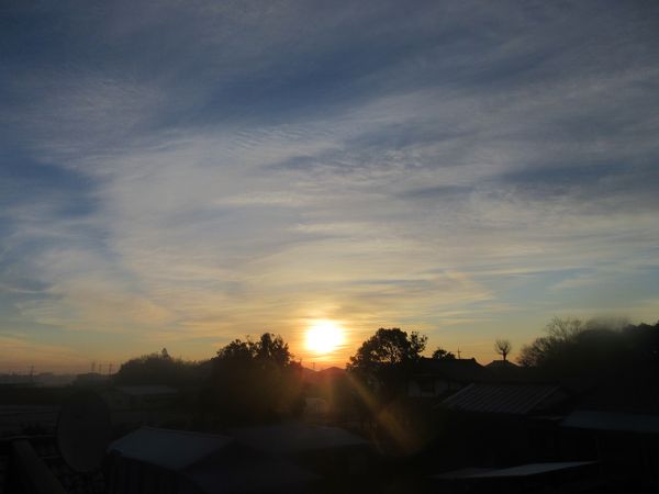 f:id:maronmame:20220129132327j:plain