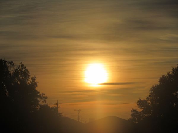 f:id:maronmame:20220129132343j:plain