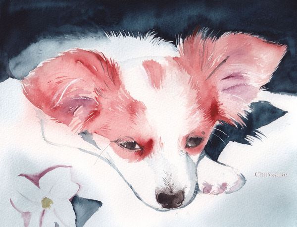 f:id:maronmame:20220207080649j:plain