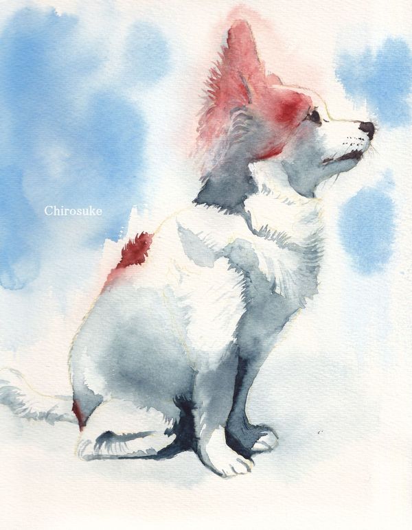 f:id:maronmame:20220207080923j:plain