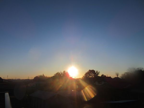 f:id:maronmame:20220207081125j:plain