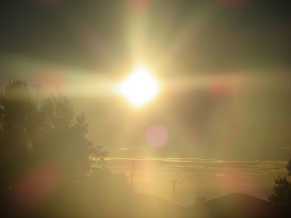 f:id:maronmame:20220207081143j:plain