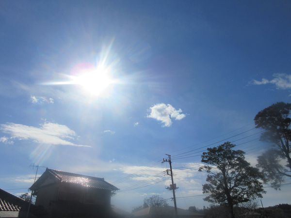 f:id:maronmame:20220207081229j:plain