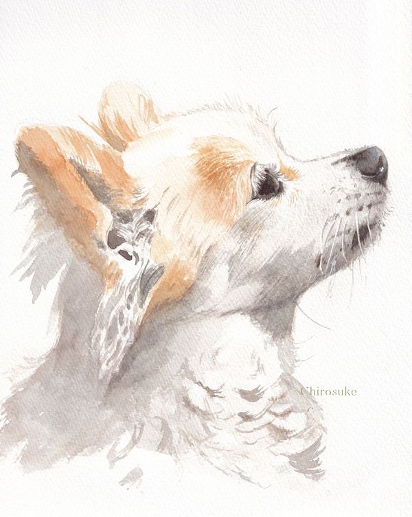 f:id:maronmame:20220210144943j:plain