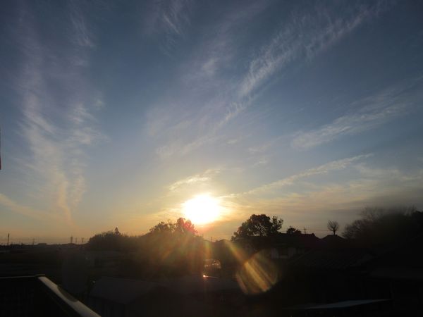 f:id:maronmame:20220210145848j:plain